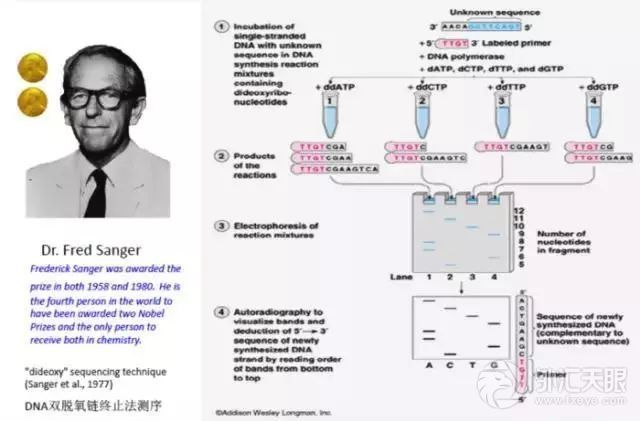 茂宸科普丨基因测序原理_【快资讯】