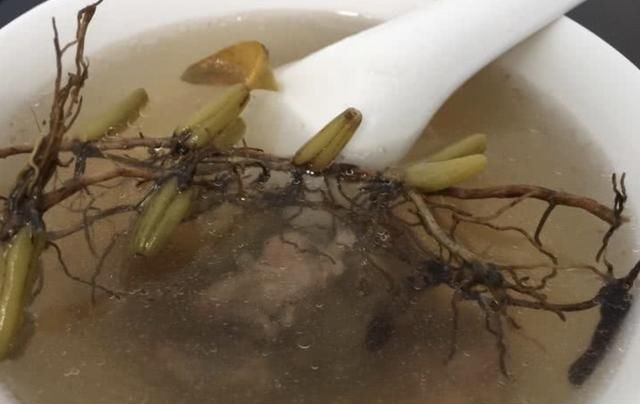  「橄榄」石橄榄,多生长在石缝中,是一种很好的药材,煲汤有很好养生作用