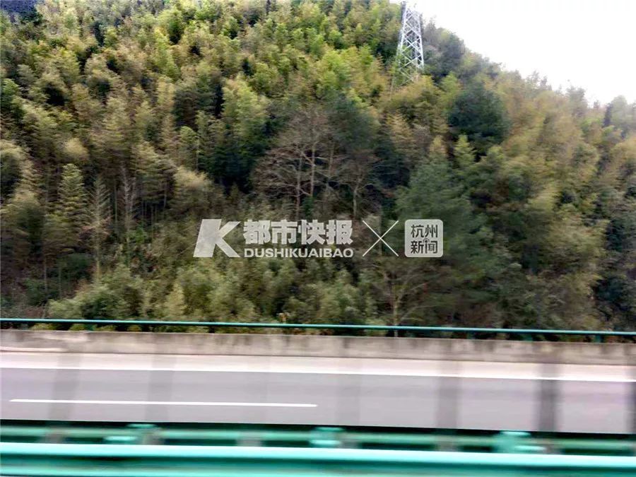 人肉亲测：1个多小时高铁到黄山北，大巴再到黄山景区，1小时14分