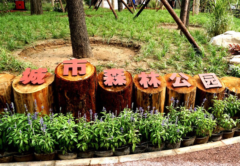 新一轮百万亩造林总规获批，北京将增百万亩无界森林