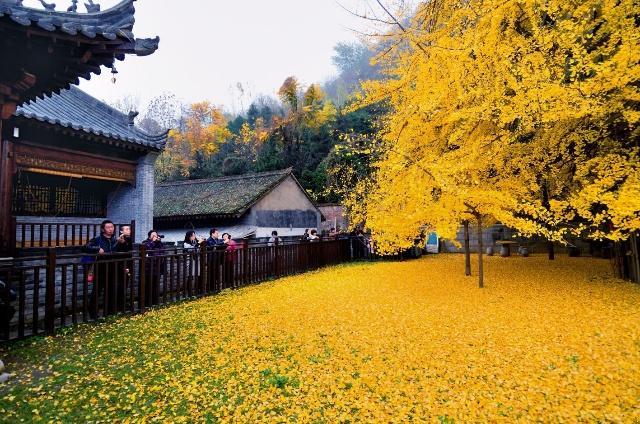 中国最不想挣钱寺庙，拒绝旅游团进入，给游客一片清净，很良心！