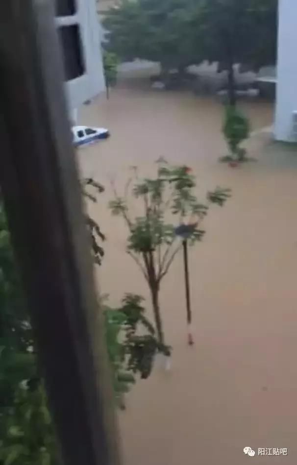 暴雨黄色预警第8号台风来啦?醒鸡阳江的 水浸