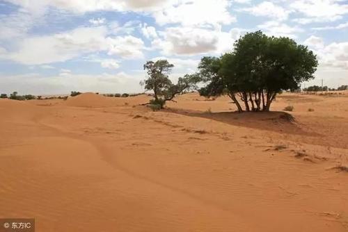 到了沙漠之后看到西瓜要摘下来解渴，导游看到却说要放下