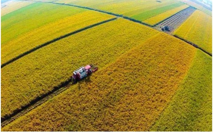  未来|未来农村很有“钱途”的几种行业，或许有一个能成为你的出