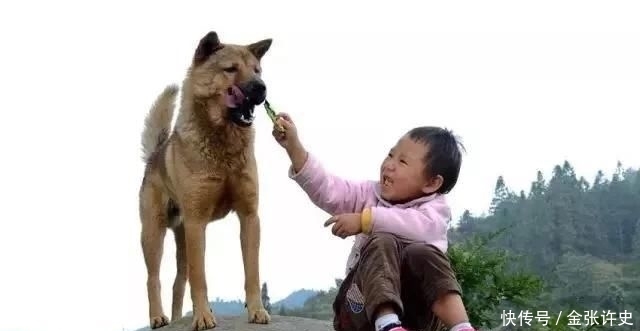  「农村」老家的房子，穷死都不能卖