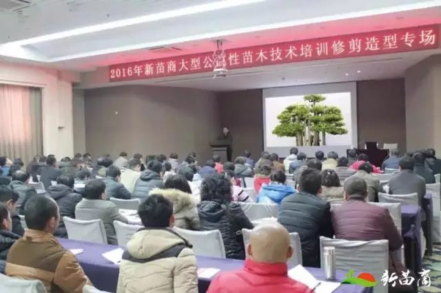 庭院深深，中式庭院 · 怡然自得