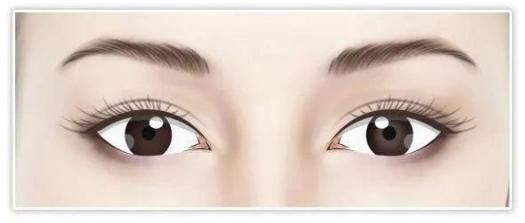 #小编建议#单眼皮与双眼皮的江湖,为什么双眼皮总能获得青睐?