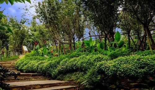  「gdp」中国经济最强省会，GDP占据全省半壁江山，如今位于新一