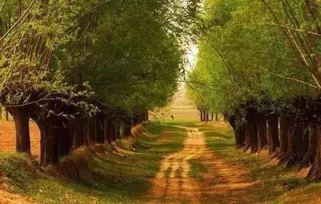  #新房#为什么很多人离开了农村，还要在老家盖一栋新房？