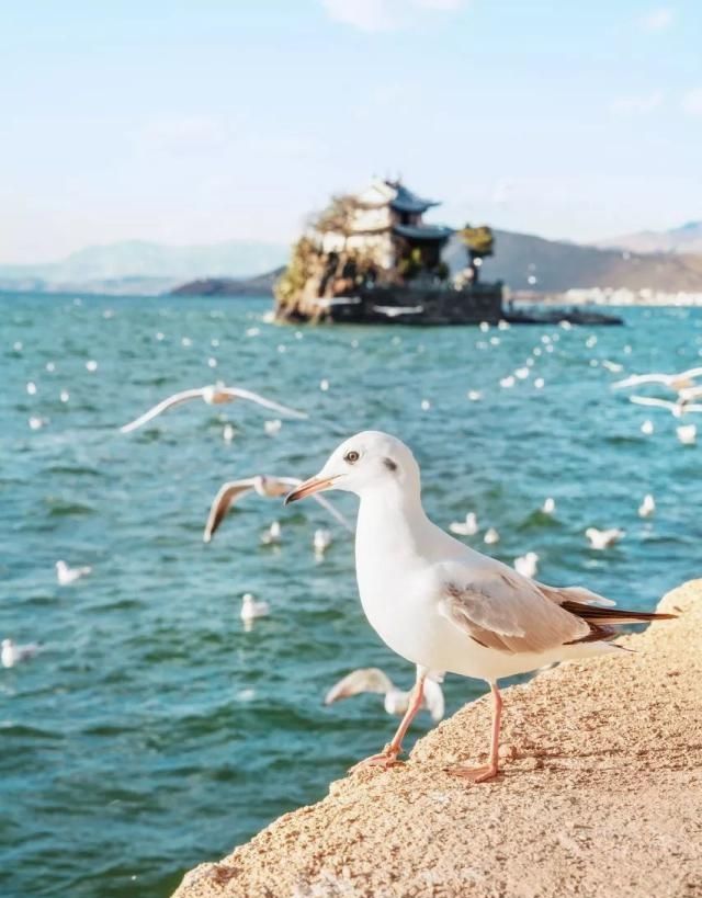 全世界最美的50个地方:我愿赚点小钱,余生一定走遍