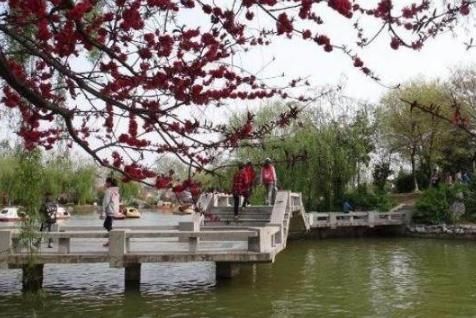 江苏最值得一去的两个旅游景点，就在连云港市，没去过就太可惜了