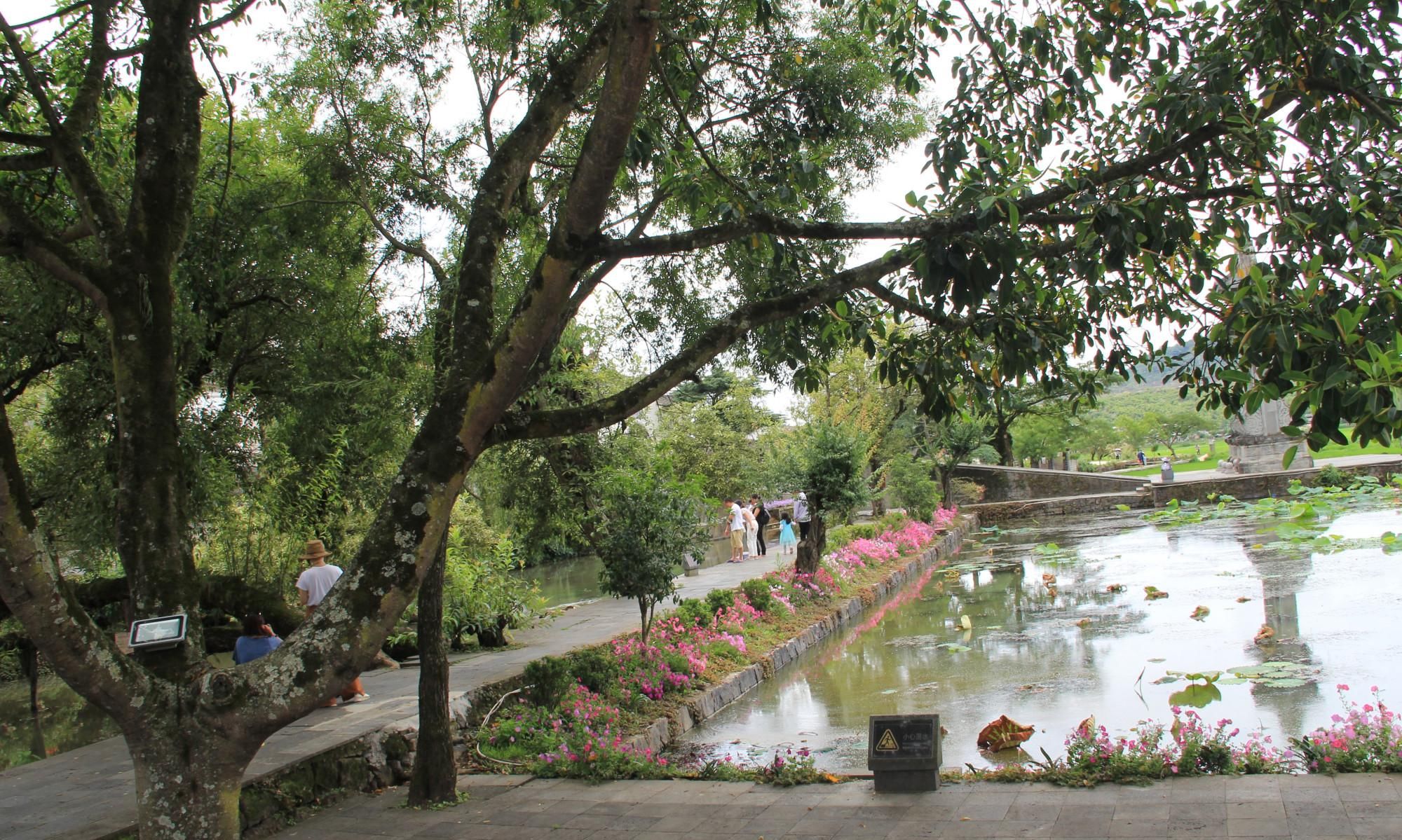 行走滇西：深深慕恋的和顺古镇变成了打卡游（上）