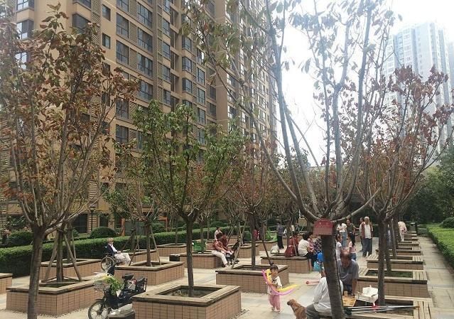 买房不论涨跌，懂行人都喜欢“这里”！悄悄“彰显”升值潜力