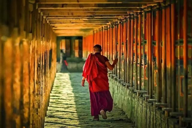 全国最大桃花基地!万亩花开成海,还不要门票!