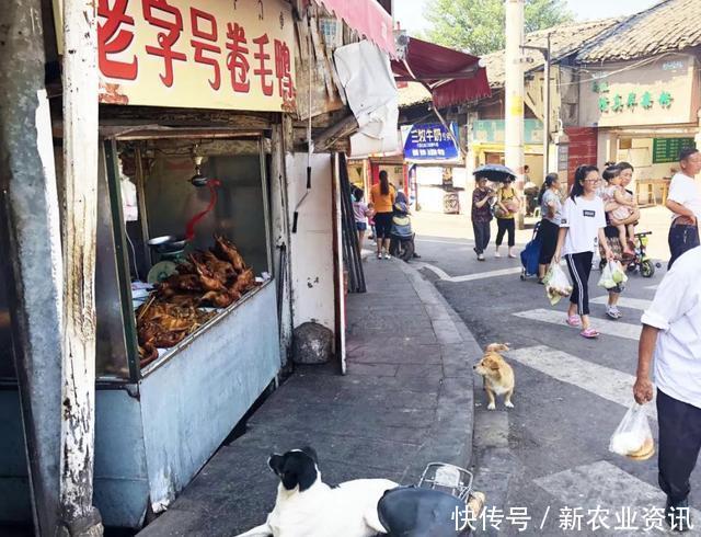 将来,农村这些“地段”价值会很高,发展前景甚好,你占了几处！