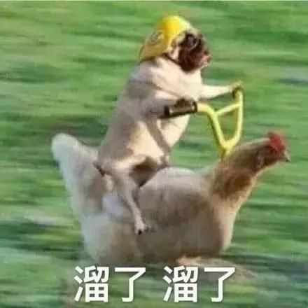 千万别剪这个刘海！超！显！胖！