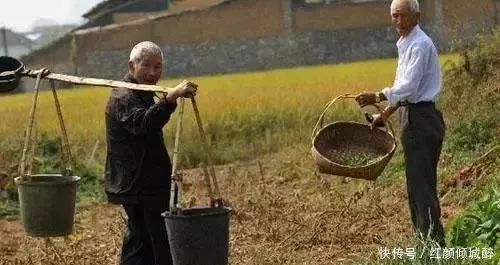 日本人在中国租了1500亩地，闲置5年任荒草疯长，但结果让所有人