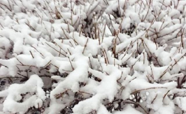 确定了！北方局地暴雪又来了，而新一轮冷空气又蓄势待发！