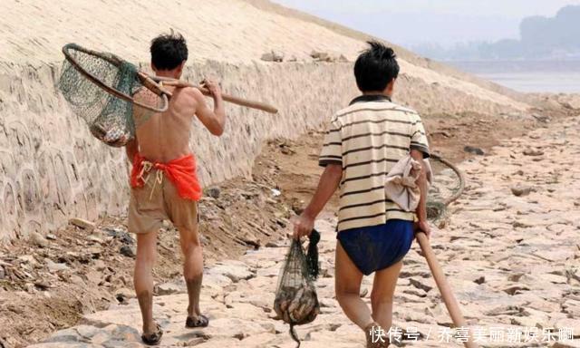  道理：为什么黄河泥沙那么多，鱼还又大又肥？网友一句话阐明道