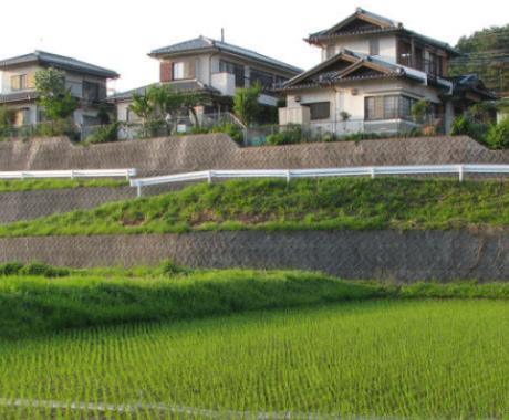 看看日本真实的农村，再看中国的农村，看完才知道差距不是一般大