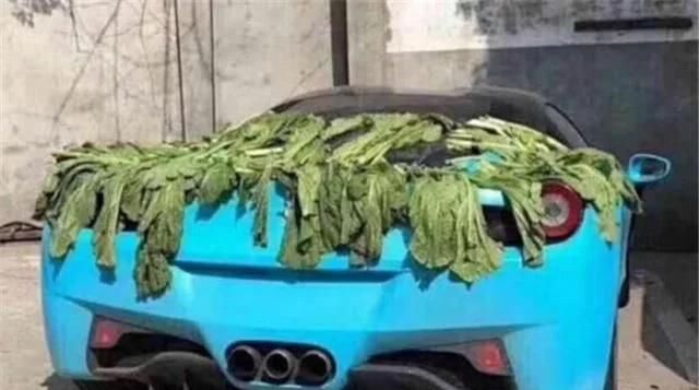  车上：大妈在百万豪车上晒腌菜，车不是自己的，车主过来后尴尬了……