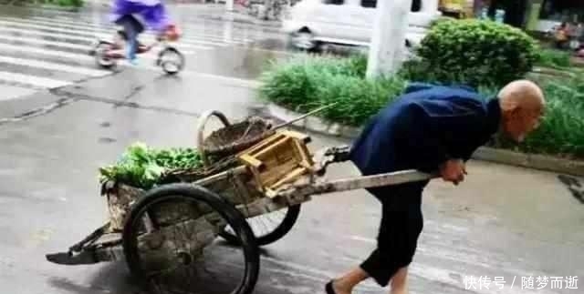 有人宁愿超市买“高价菜”，也不买农村老人路边摆摊的菜，为啥？