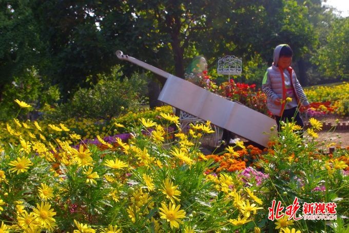 【我们的节日重阳】北京市属公园赠老人万张“福”“寿”画