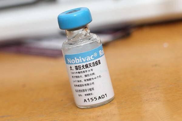 “假疫苗”爆发，引起各位明星发声痛斥，娱乐圈还是有正义者啊！