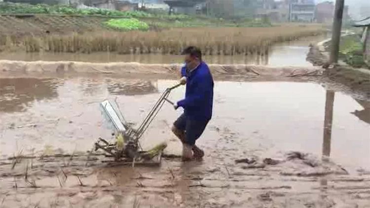  民间|民间牛人发明“手摇式”插秧机，不用油不用电，200元造一