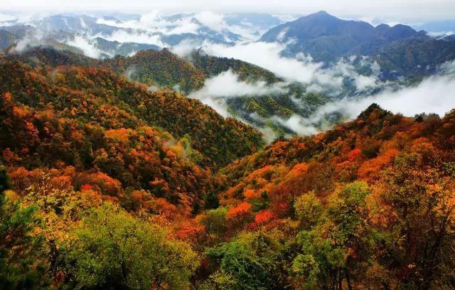 秦岭深藏敢与九寨沟媲美的地方！有条惊艳的自驾公路