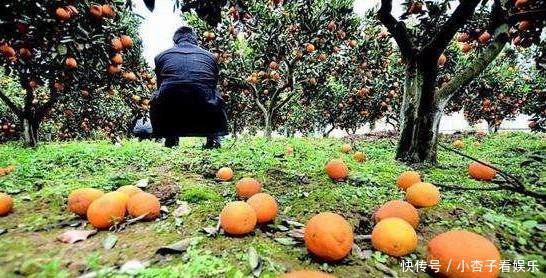  #碰壁#印度把“中国特产”带回去，想出口到其他国家，却四处碰