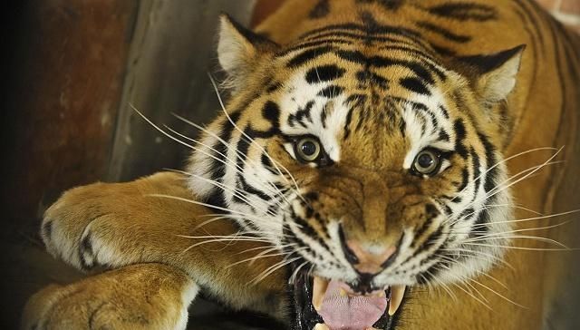  中堂：农村老人说房屋中堂有三不挂，你知道是哪些东西不能挂吗