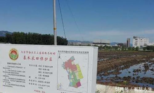  用总体规划@在永久基本农田上，种树、挖塘、养鱼、修路，会导致