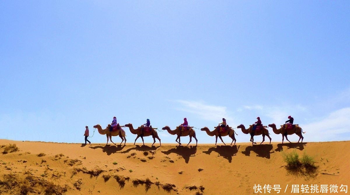 茫茫非洲大沙漠中的“人类救星”，不长果实，却养活着1500万人