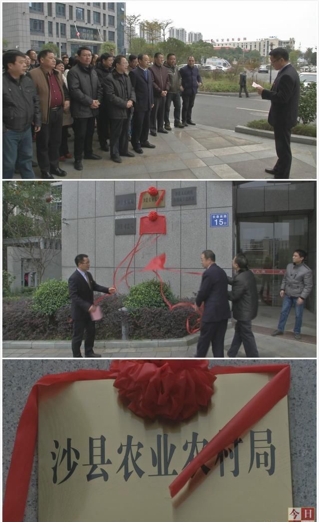 沙县机构改革首批8个单位挂牌！