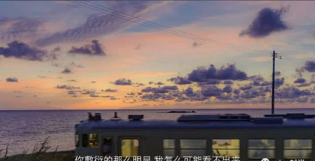  「葡萄」牛油果绿or葡萄紫，清新小仙女的衣橱必备