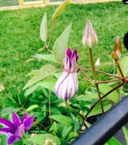 20张不可思议的照片，证明大自然无所不能！