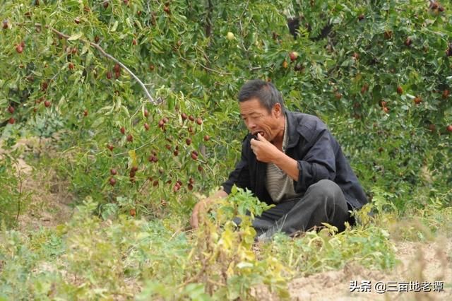 2019年农村新增一补贴比粮补高，农民必须了解到，你领了吗?