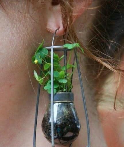 最“奇葩”耳环,图二不能长时间佩戴,李沁和baby的看着都疼!