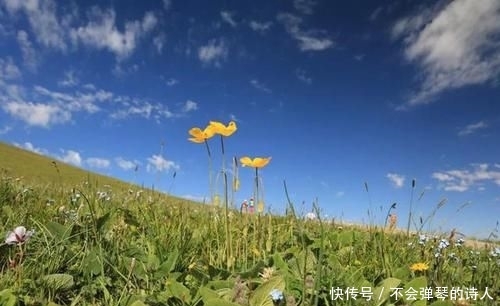 古典:古典诗词:感人至深五种情