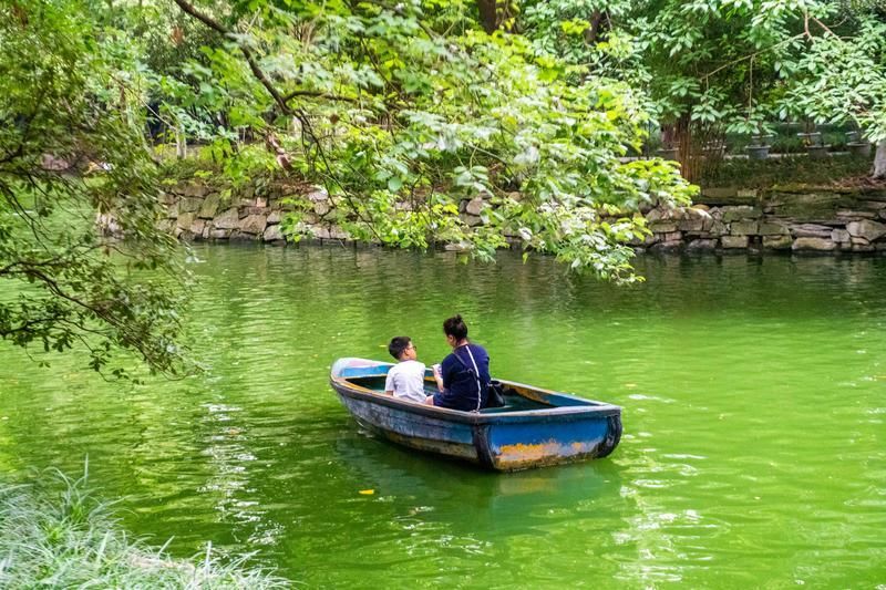 去成都旅行为什么一定要去茶馆喝盖茶?游客:来了不想走!