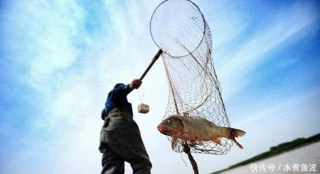 黄河水清了,为什么鱼虾反而少了专家一席话让人心惊！