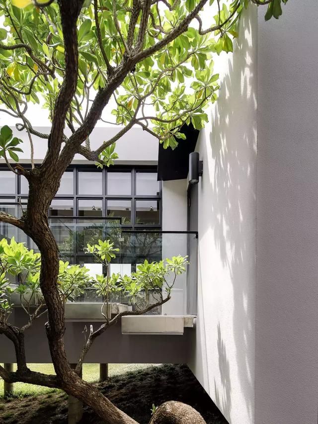 他买下30000小山头,造了一栋隐居的房子,远离城市,幽静清心