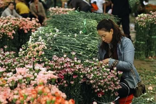 中国九大花卉批发市场，一年四季花飘香，年年岁岁花不同哦