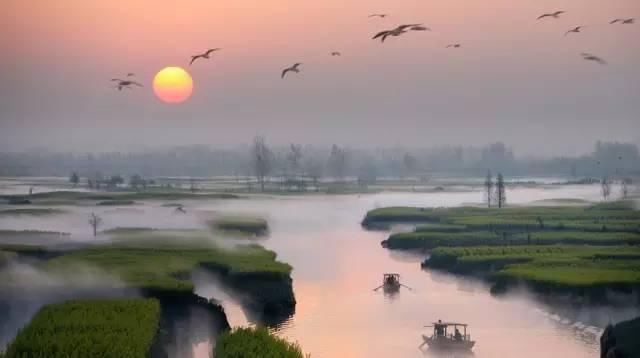 最江南的花海：惊艳不输婺源，情调不输威尼斯