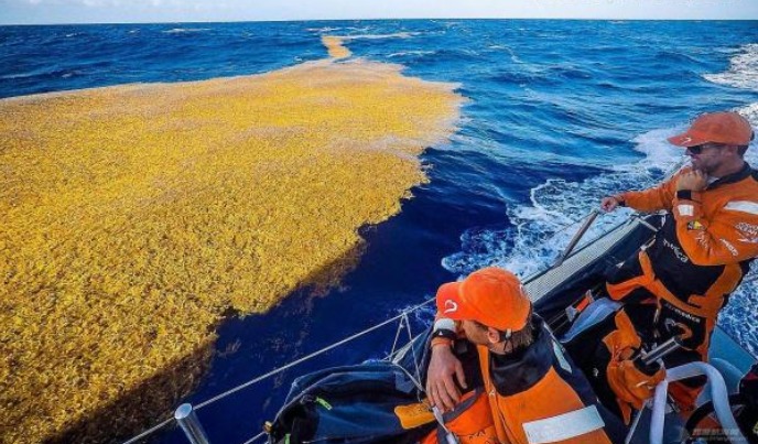 世界上有一个平静的海，却隐藏着无限杀机，埋葬了无数船只！