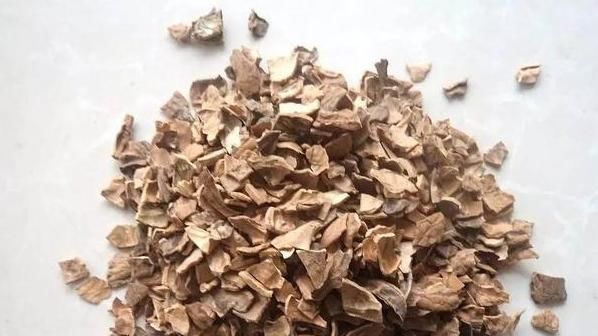  油烟机：生活中的垃圾,简单一处理来养花,让植物越长越旺!