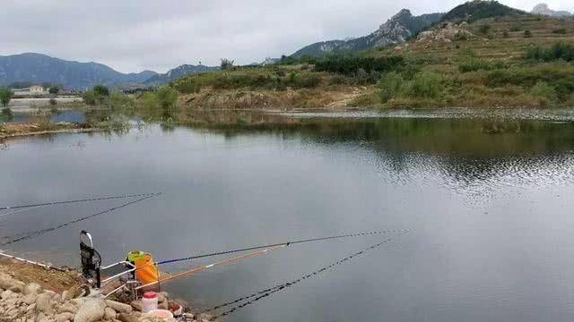 「陌生」陌生水域作钓不要着急确定钓点,一看二闻三听四查之后再确定