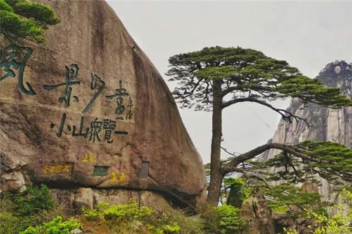 今年“十一”假期，最热门的5大景区出炉，每个的人气和满意度都