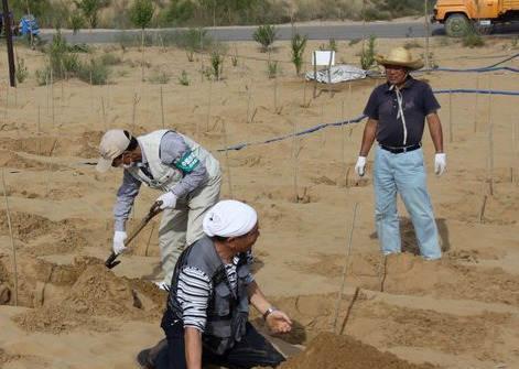 日本人花14年跑到中国治理沙漠,游客发现了背后的意图！